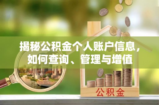 阳东揭秘公积金个人账户信息，如何查询、管理与增值