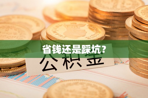 阳东省钱还是踩坑？