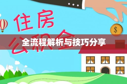 阳东全流程解析与技巧分享