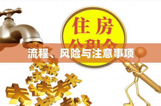 阳东流程、风险与注意事项